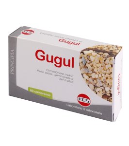 GUGUL ESTR SEC 60CPR 22,2G