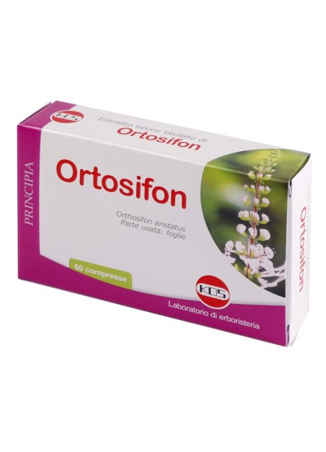 ORTOSIPHON ESTR SEC 60CPR