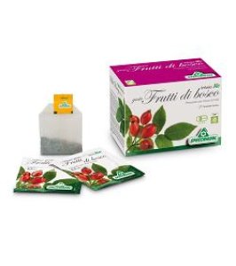 INFUSO BIO FRUTTA FRUTTI DI BOSCO 20 FILTRI