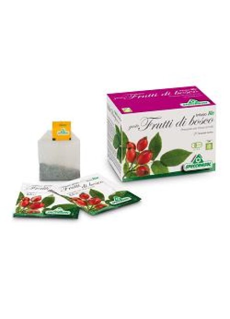 INFUSO BIO FRUTTA FRUTTI DI BOSCO 20 FILTRI