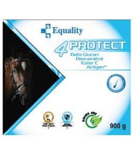 4PROTECT BARATTOLO 900G