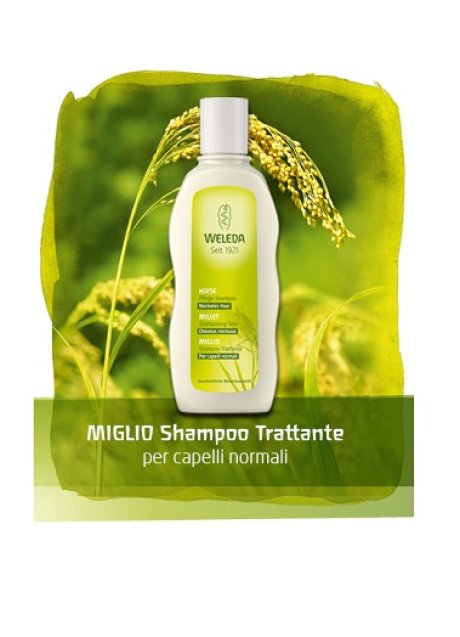 SHAMPOO MIGLIO 190ML