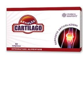 ARTIFLEX CARTILAGO 30CPR