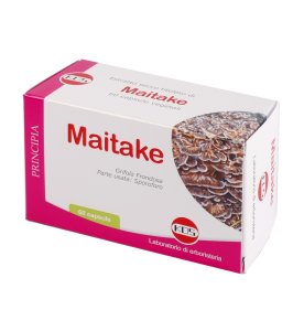 MAITAKE 60CPS