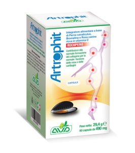 ARTROPHIT RECUPERO 60CPS