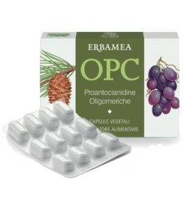 OPC 24CPS VEG S/GL 500MG ERBAMEA