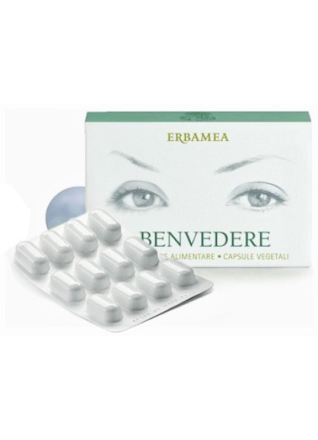 BENVEDERE 24CPS ERBAMEA