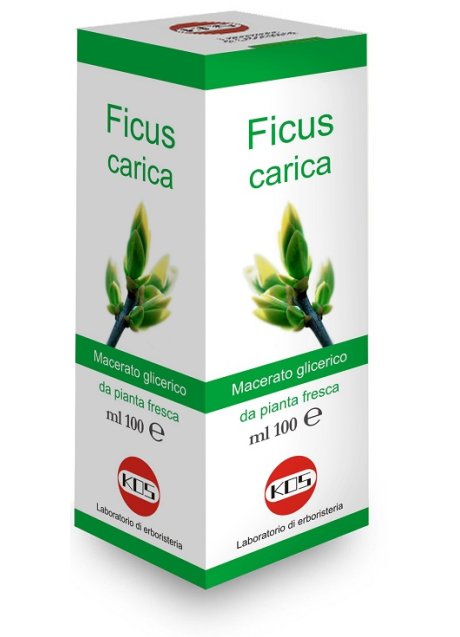 FICUS CARICA MG GTT 100ML KOS