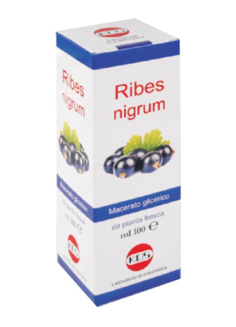 RIBES NIGRUM MG 100ML GTT KOS