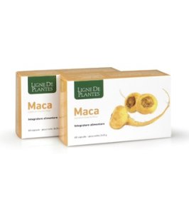 MACA 60CPS