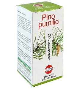 PINO PUMILIO OE 20ML
