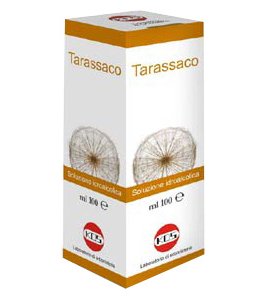 TARASSACO SOL IAL PIANTA FR100