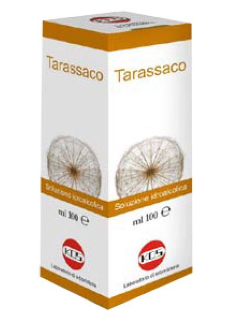 TARASSACO SOL IAL PIANTA FR100