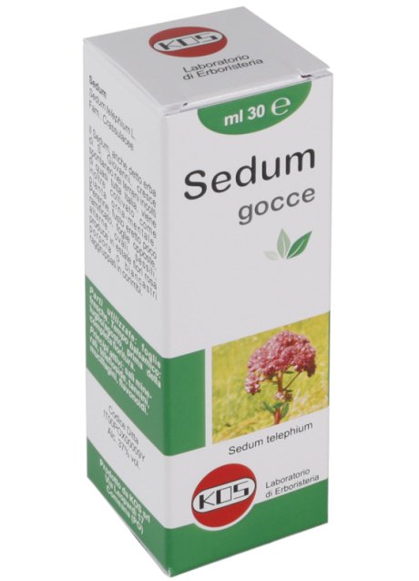 SEDUM GTT 30 ML KOS