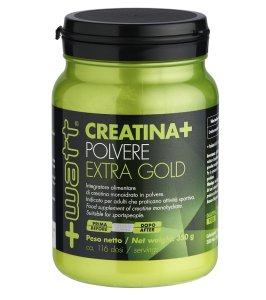 CREATINA+ POLV EXTRAGOLD 350G