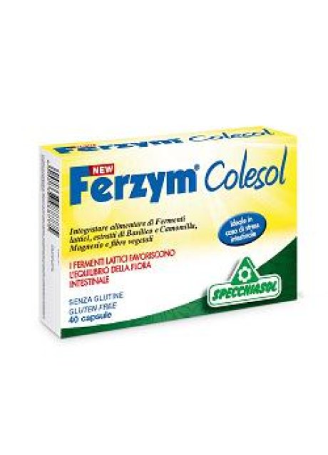 NEW FERZYM COLESOL 40 CAPSULE NEW FERZYM COLESOL 40 CAPSULE