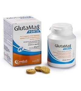 MANGIME COMPLEMENTARE PER CANI GLUTAMAX FORTE BARATTOLO 40 COMPRESSE MANGIME COMPLEMENTARE PER CANI GLUTAMAX FORTE BARATTOLO 40 COMPRESSE