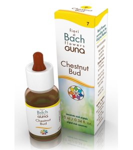 CHESTNUT BUD 7 GTT 10ML BACHGUNA