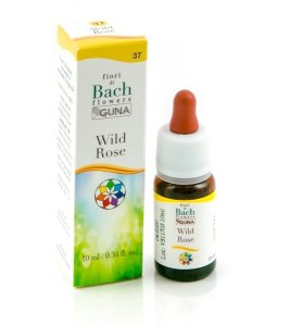 WILD ROSE 37 GTT 10ML BACH GUNA