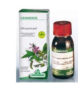 GEMMOSOL 3 IPPOCASTANO 50ML