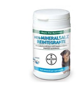 NEO MINERALSALZ REINTEGRANTE 300 G