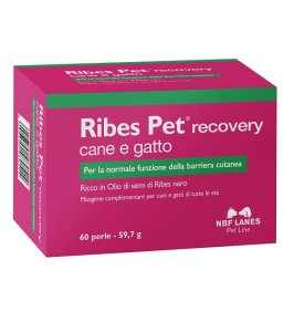 RIBES PET RECOVERY 60PRL