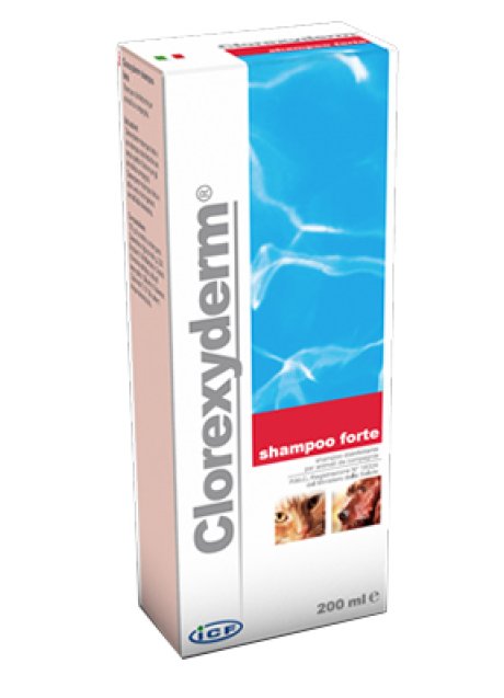 CLOREXYDERM FORTE*SHAMPOO 200M