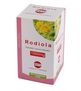 RODIOLA 60CPR 1000MG KOS