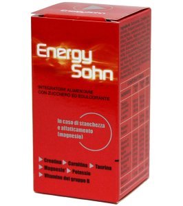 ENERGYSOHN 12BUST