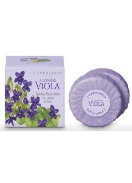 ACCORDO VIOLA SAPONE 100 G