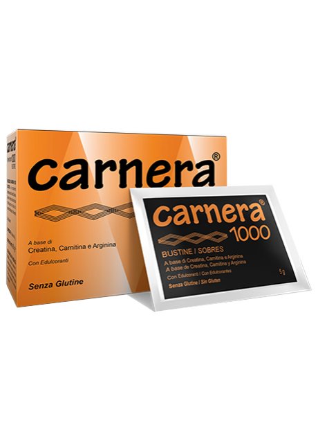 CARNERA 1000 18 BUSTINE