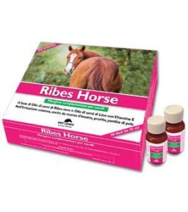 RIBES HORSE 30FLX25ML