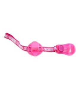 CLIP 72631 CH SALVASUCCH ROSA