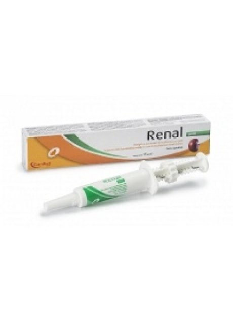 RENAL GATTI PASTA 15ML