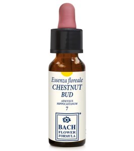 CHESTNUT BUD ORIGINAL 10ML GTT