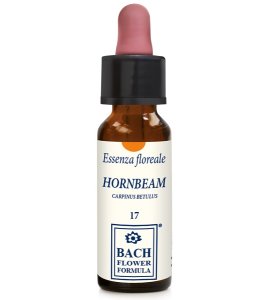 HORNBEAM ORIGINAL 10ML GTT