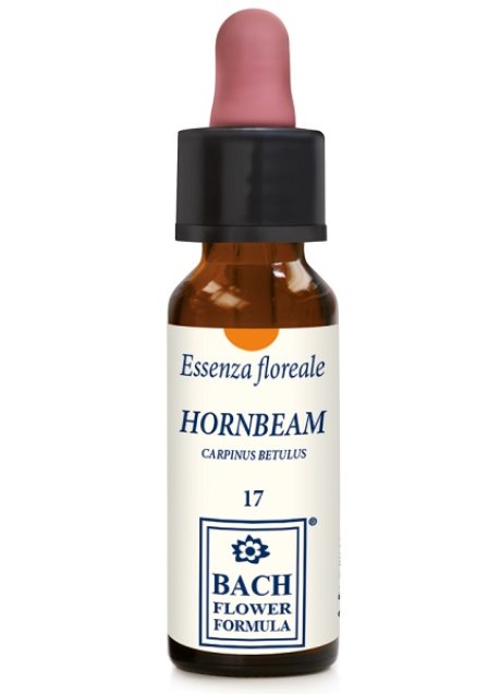 HORNBEAM ORIGINAL 10ML GTT
