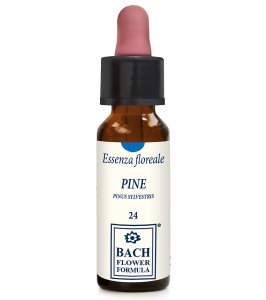 PINE ORIGINAL 10ML GTT