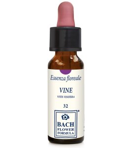 VINE ORIGINAL 10ML GTT EBV