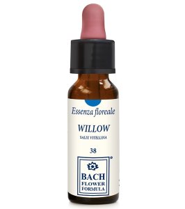 WILLOW ORIGINAL 10ML GTT