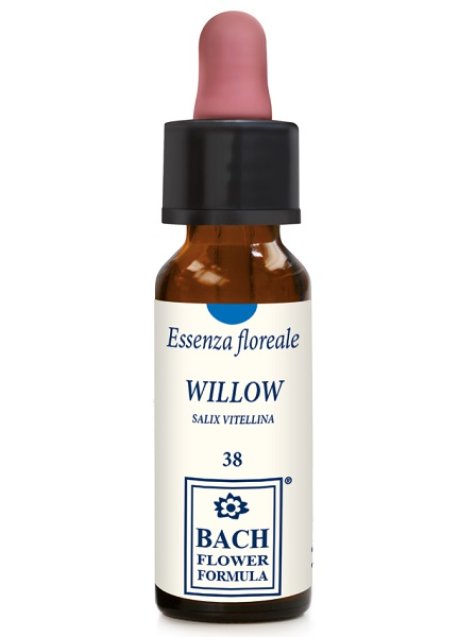 WILLOW ORIGINAL 10ML GTT