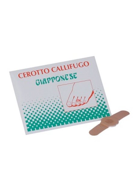 CALLIFUGO GIAPPONESE 4CEROT.C/PA