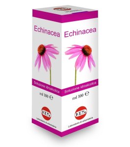 ECHINACEA SOL IAL PIANTA FR100
