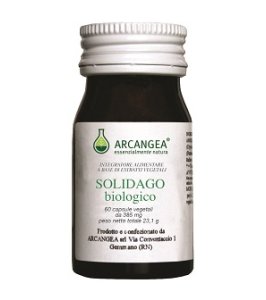 SOLIDAGO BIO 60CPS 385MG ARCANGE