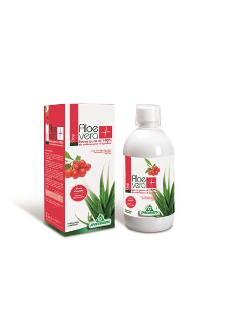 SUCCO ALOEVERA+ GOJI 1000ML SPEC