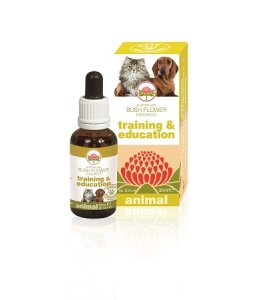 TRAINING E EDUCATION 30ML
