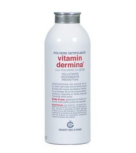 VITAMINDERMINA-POLV SETA 100G