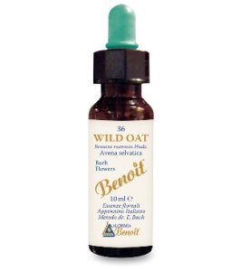 BENOIT FIORI DI BACH WILD OAT