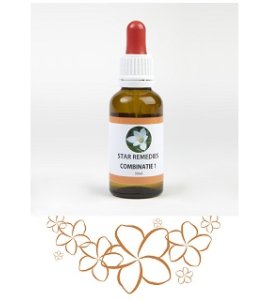 COMBINAZIONE 1 23,67G