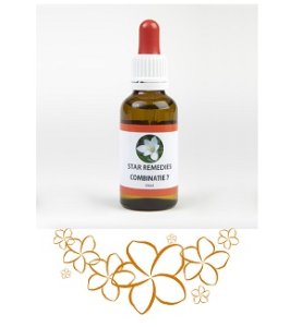 COMBINAZIONE 7 23,67G